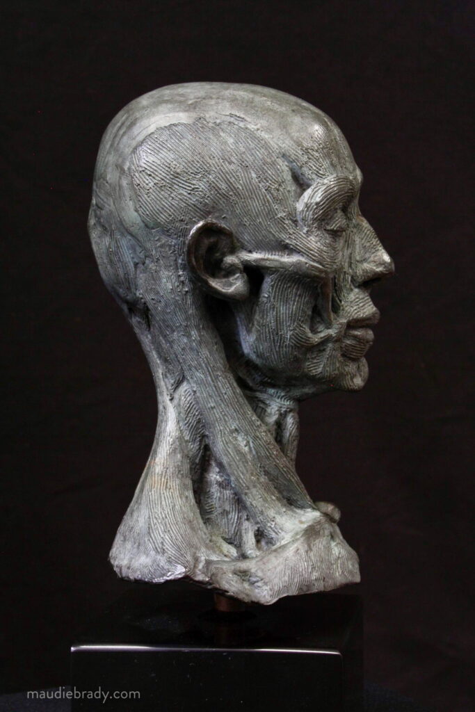 Small Ecorche head in bronze