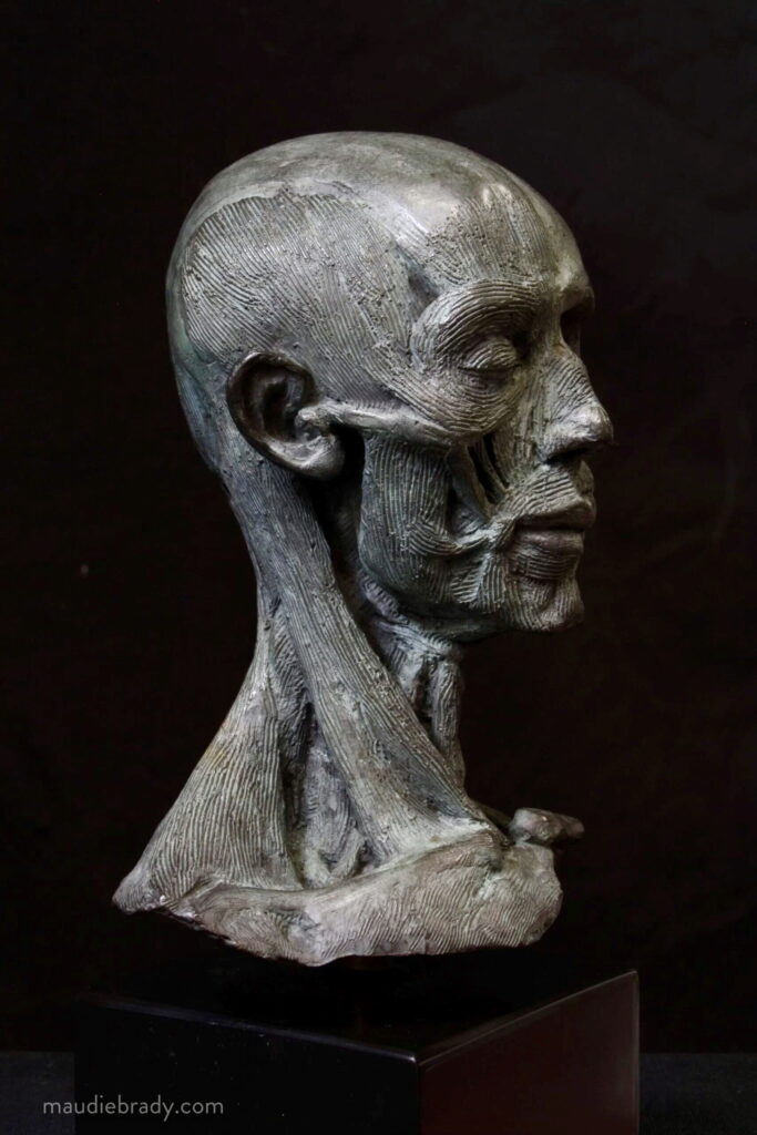 Small Ecorche head in bronze